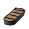 LANDINI 3695442M91 Secondary Air Filter